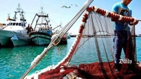 امضاء اتفاقية تأمين وشراكة بين الغرفة الجزائرية للصيد البحرى والصندوق الوطني للتعاون الفلاحي