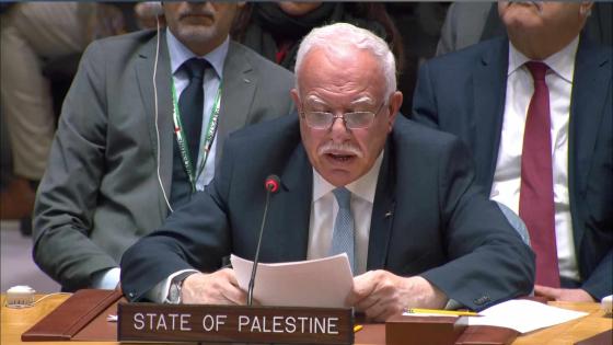 المالكي : إستمرار فشل مجلس الأمن في وقف الحرب بغزة لا مبرر له