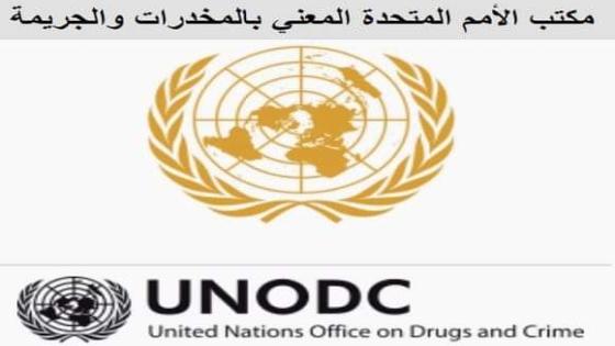 تأكيد على أن أكثر المخدرات انتشارا في منطقة الساحل مصدرها المغرب