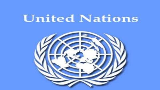 مقال حول هيئة الأمم المتحدة