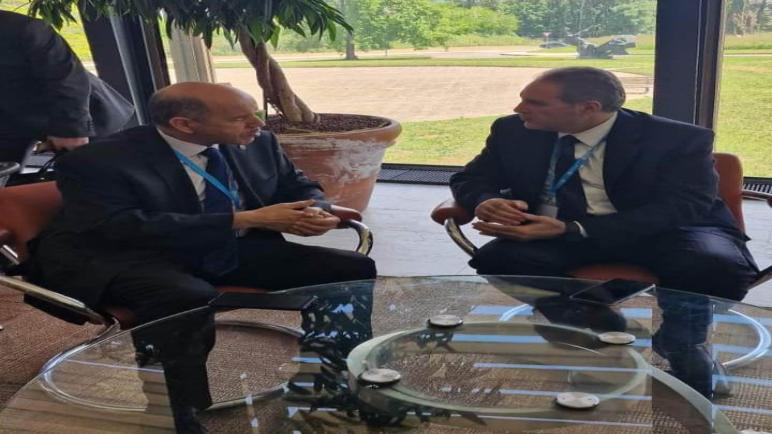 وزير الصحة يبحث سبل تعزيز التعاون مع نظيره الأردني بجنيف