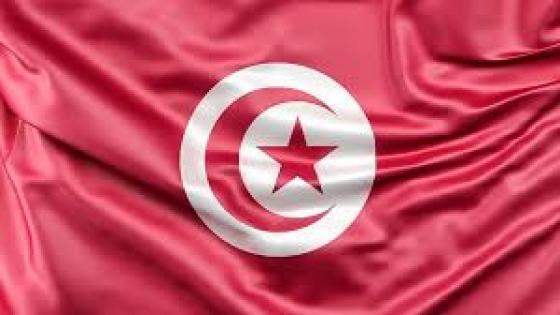 تونس ترسل سرية تدخل سريع لإفريقيا الوسطى
